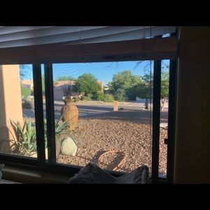 Meet your Posher, Liz